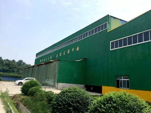 告别“一锅烩” 渭南以“工业胃”分拣消化，探索生活垃圾资源化新路径