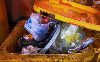 杭州美食街餐厨垃圾管理责任明确 有关部门回应城市生活垃圾经营服务问题