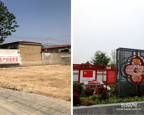 小屯村的美丽蜕变 垃圾不落地，农村更宜居