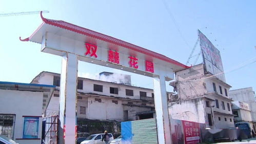 市区垃圾堆积与污水横流问题亟待整改